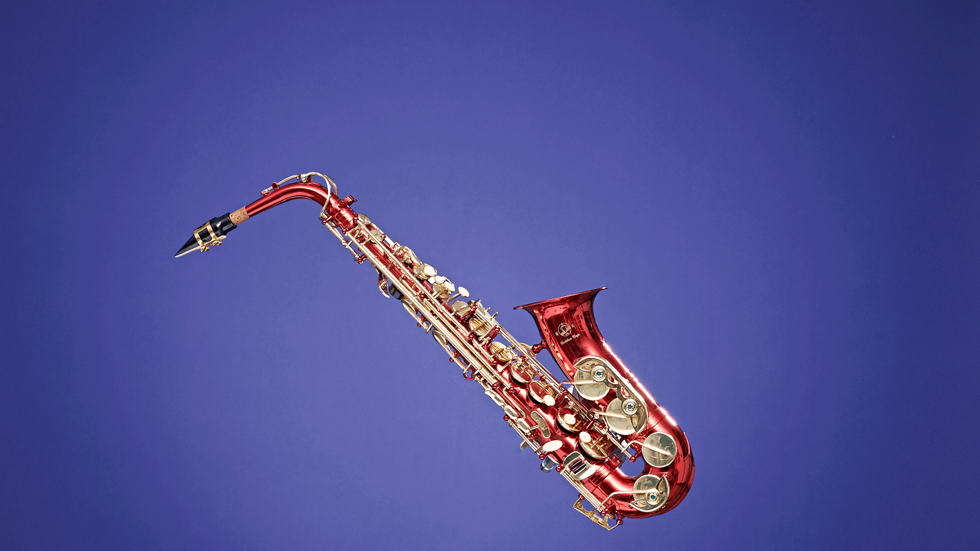 Dit is de beste muziek van 2024 | Het Parool