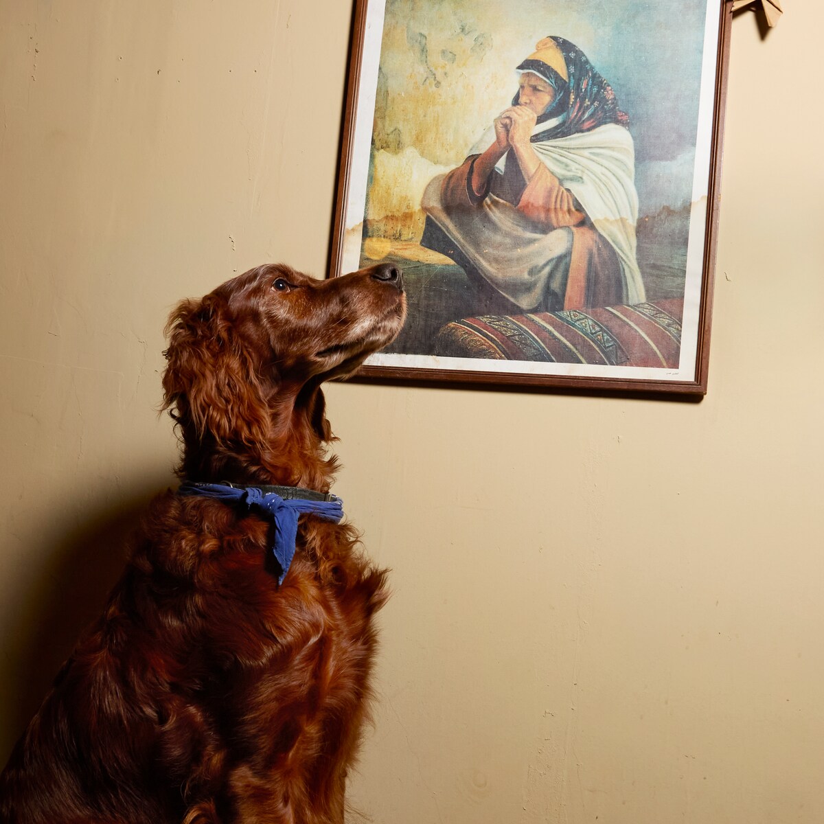 Ap 9 Coco Durchgesickerte Bilder