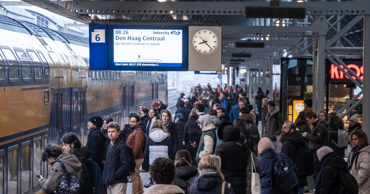 NS begint proef met gratis treinpas in Amersfoort, doel is landelijke regeling: ‘Vervoer is voor vee