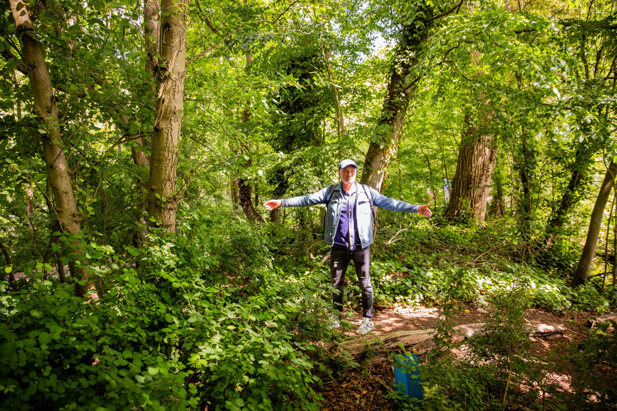 In het Flevopark moeten bomen wijken voor een dijk, natuurliefhebbers ...