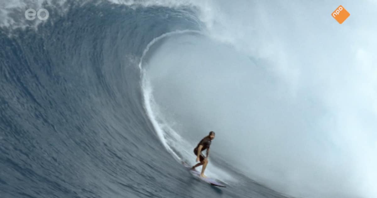 Wat bezielt een bigwavesurfer? In The Hold Down blijkt het antwoord op die vraag nog boeiender dan de extreme sport zelf