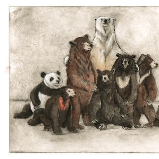 First Green Griffel awarded to ‘We, Bears’ by Lotte Stegeman