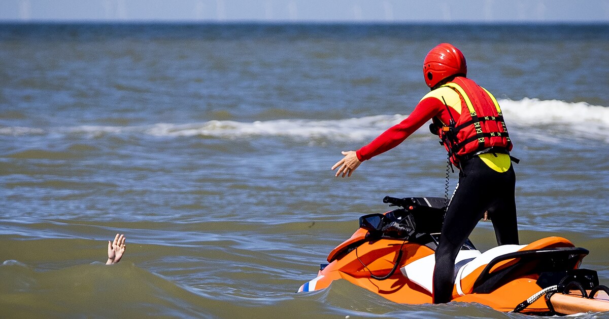 Zwemmen in de Noordzee? Zorg dat je weet wat een mui is, en wat je moet doen als je erin belandt