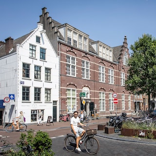 Hittestress kost nu al 250 levens per jaar, in 2050 mogelijk 3800: brede coalitie eist wettelijke groennorm van kabinet