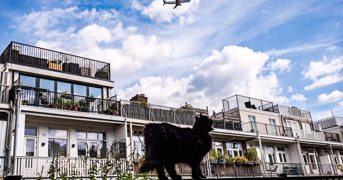 Terwijl het aantal vluchten toeneemt, wordt er juist minder geklaagd over vliegtuiglawaai rondom Sch