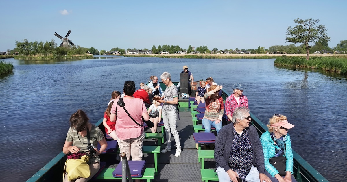 Opsteker voor Noordse woelmuis: Zaanse politiek overweegt inspraak voor natuur