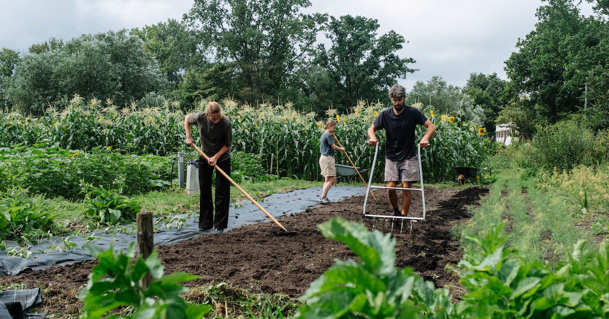 9 natuurspeeltuinen in Amsterdam waar kinderen zich kunnen uitleven