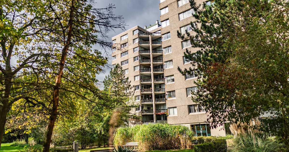 Wat veel VvE’s in Amsterdam niet lukt, krijgt dit complex in Zuidoost wel voor elkaar: zij steken sa