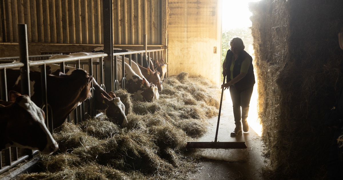 De wintertijd is ingegaan: een uurtje extra slaap, maar écht niet voor deze mensen