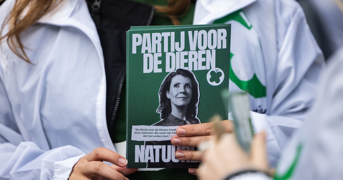 Chaos bij Partij voor de Dieren: twee kampen claimen Eerste Kamerfractie