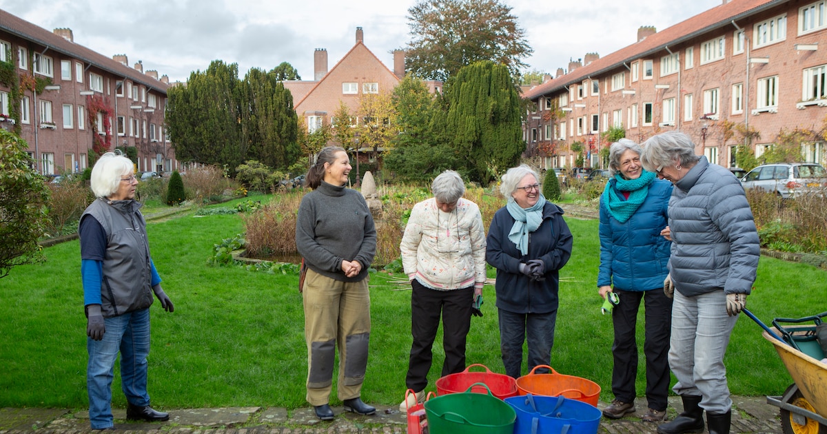 Deze vrouwen zetten het plantsoen aan de Harmoniehof in bloei: ‘Als je geluk kunt afmeten aan het aa
