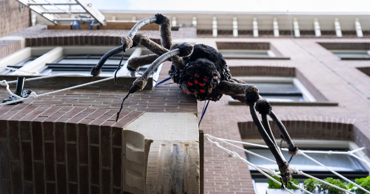 6 Griezelig goed versierde Halloweenhuizen in Amsterdam