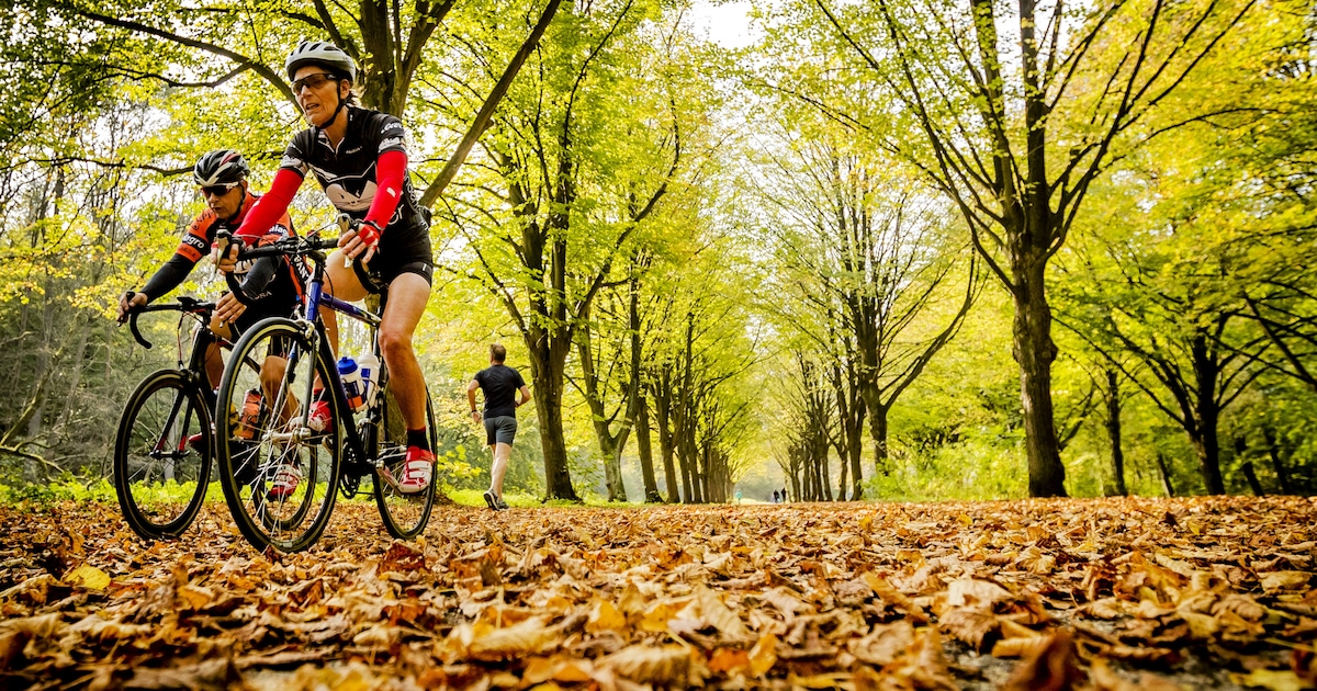 Warmste 5 november ooit, mooi herstweer houdt de komende dagen aan