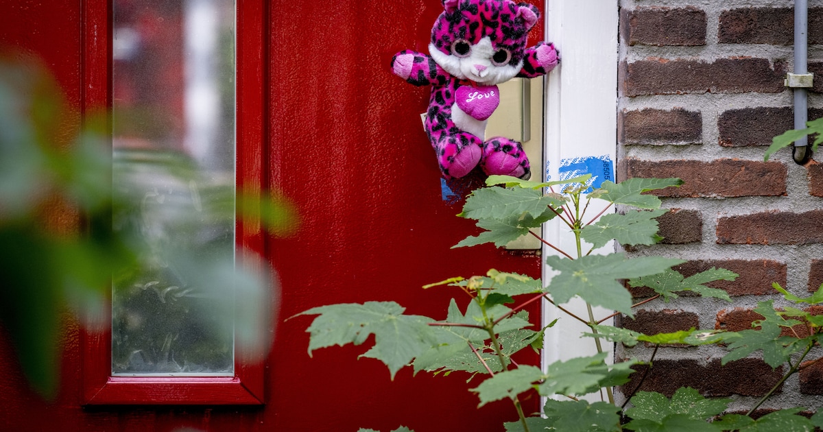 Waarom worden de pleegouders in Vlaardingen vervolgd, maar de falende hulpverleners (nog) niet?