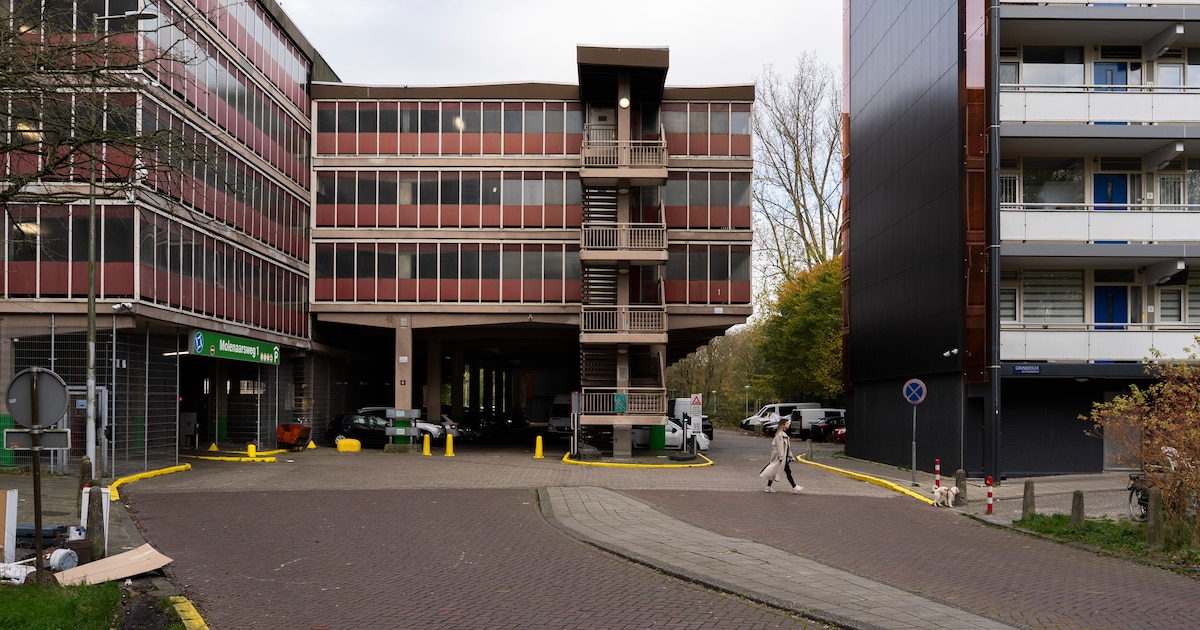 Bewoners van de Molenwijk in Noord in de knel door betaald parkeren: ‘Het is hier niet eens druk’