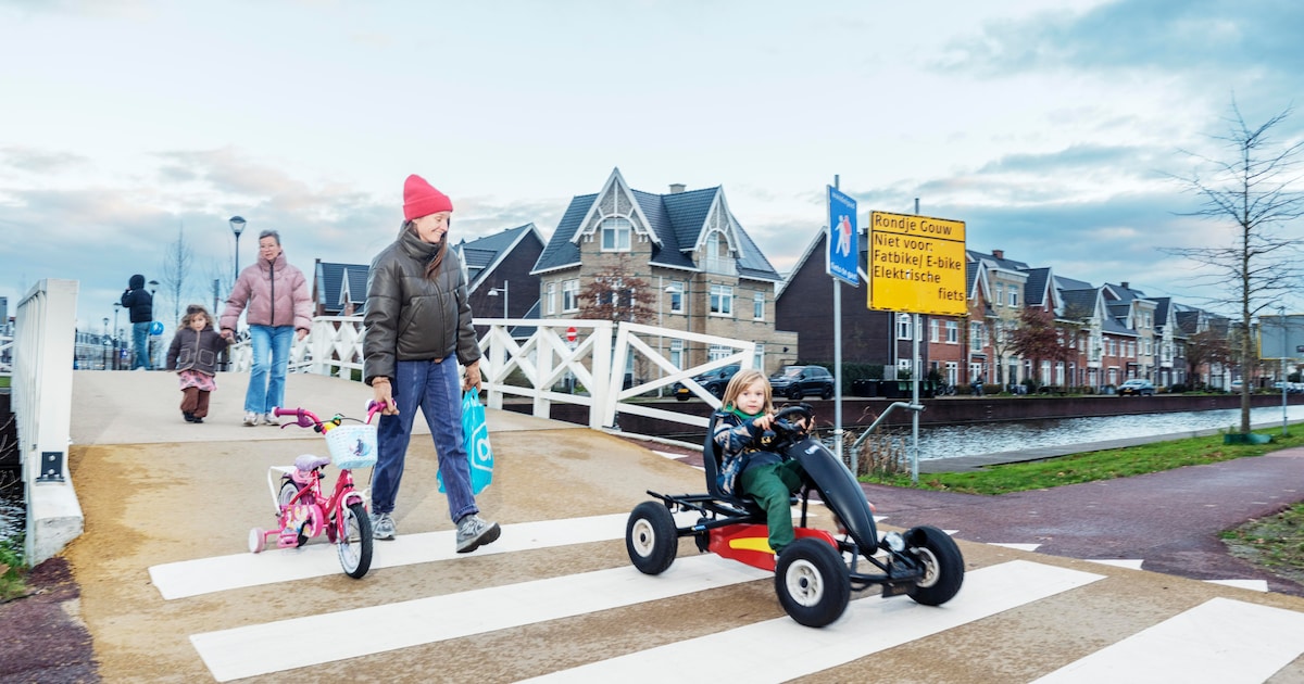 Opinie: ‘Fusie met Amsterdam bracht Weesp geen voordelen, alleen maar verlies van eigenheid’