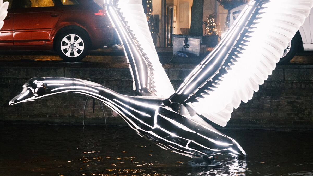 Amsterdam Light Festival 2025/2026: de 5 mooiste werken | Het Parool