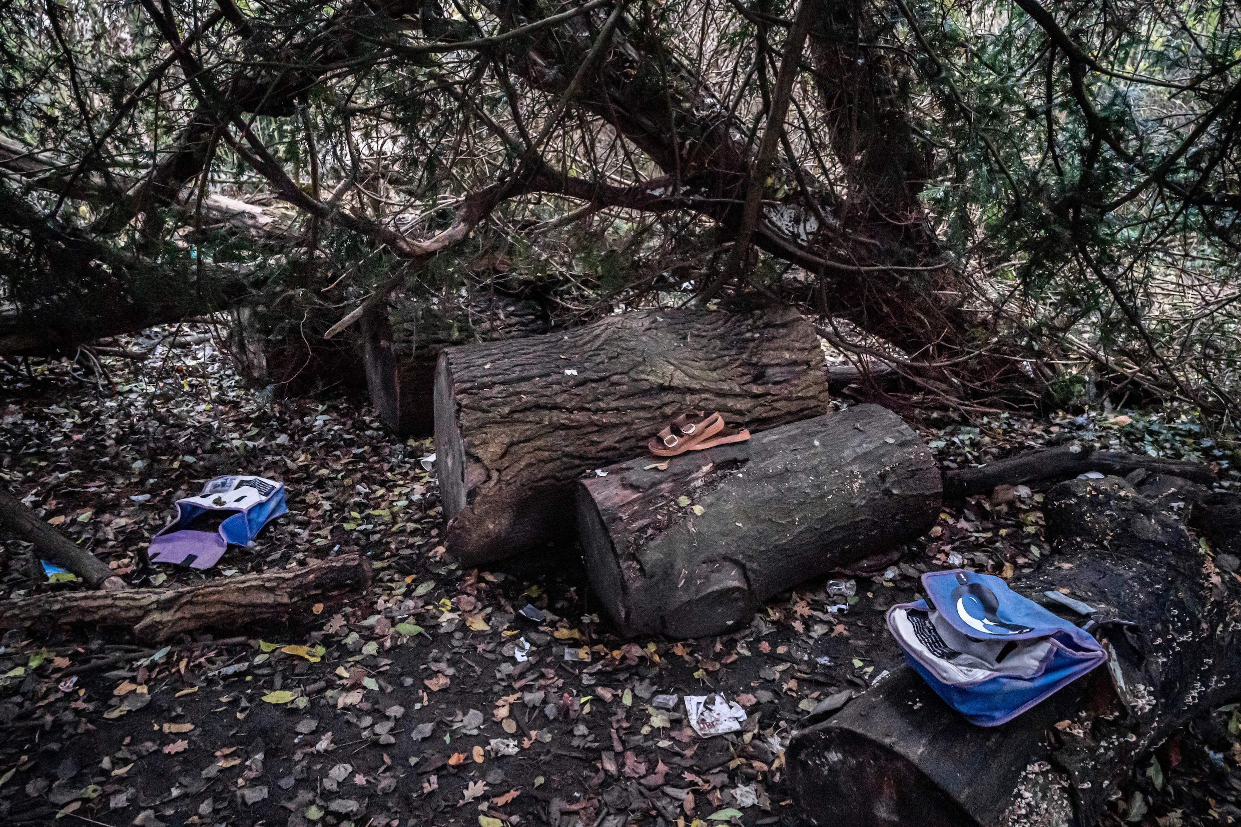 Zorgen om ‘escalerende onveiligheid’ Vondelpark: ‘We vinden in de ...