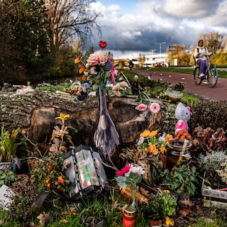 Trial for Lisa's murder and rape delayed until January, suspect Chris Jude under further observation