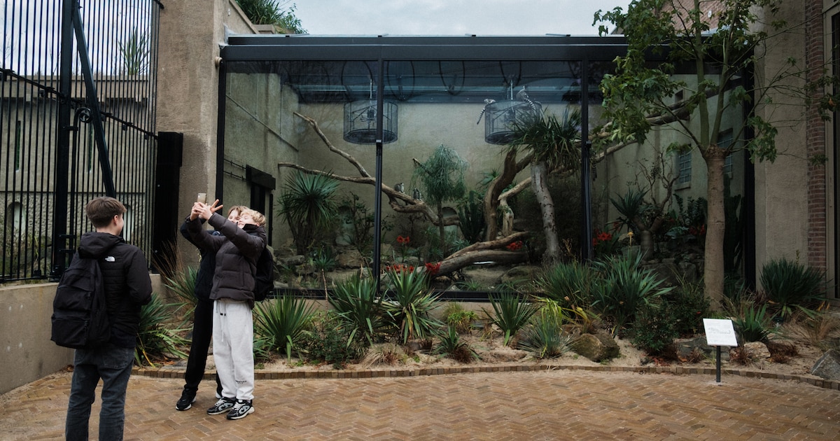 Klimaatneutraal in 2030, Artis als stadspark en geen woningen in het groen: dit wil Partij voor de D