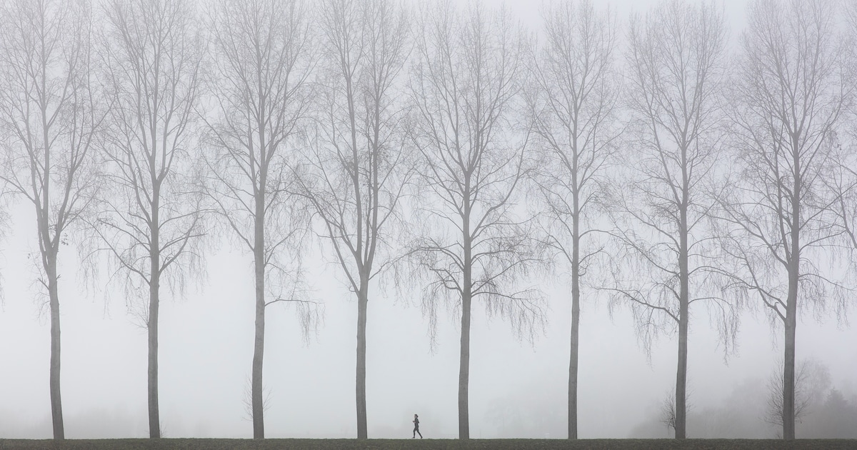 Aanrandingen Weesp zorgen voor onrust onder hardlopers: ‘Ik voel me hier eigenlijk nooit onveilig, m