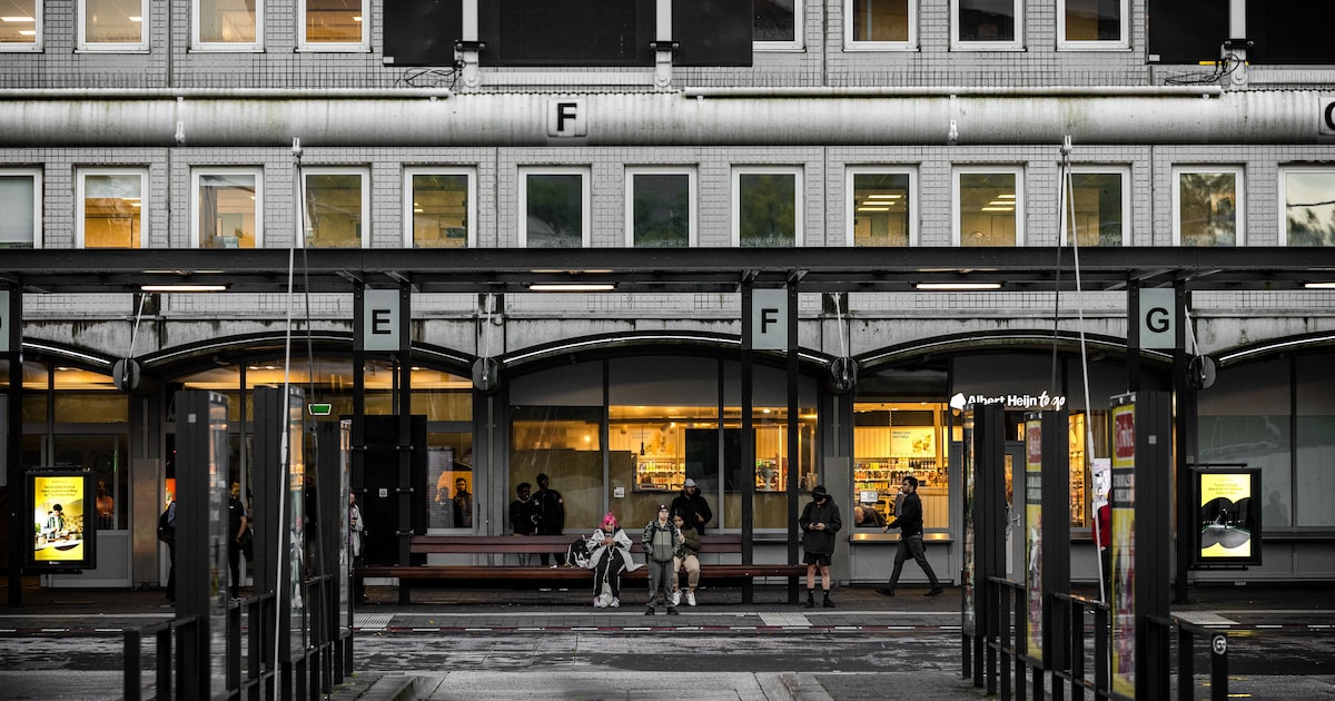 Meerdere grote NS-stations voor miljarden verbouwd: waarom is dat?