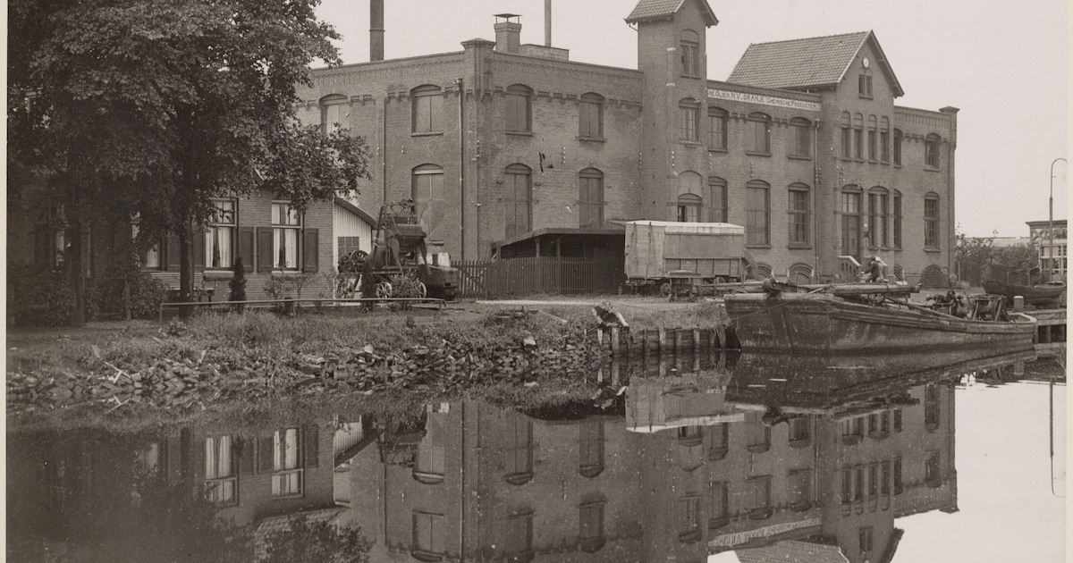 De Jantjes, Ciske de Rat, Karakter: filmstudio aan de Duivendrechtsekade werd Hollywood aan de Amste