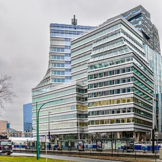 ‘Dino museum’ Naturalis opens branch (with T-Rex) at Amsterdam Zuidas