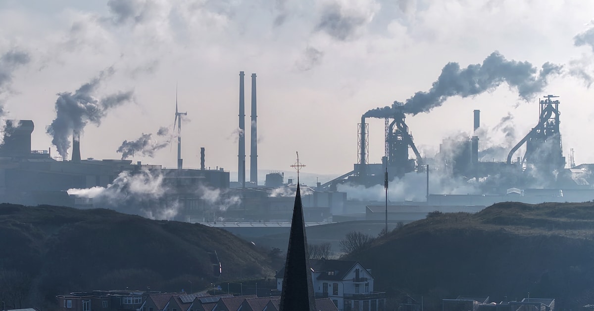VU-econoom Henri de Groot: ‘Met een datacenter voor Microsoft haalt Amsterdam paard van Troje binnen