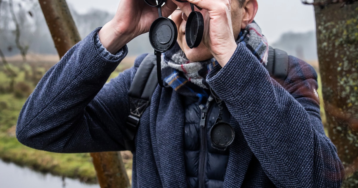 Met natuurgids Paul Cosijn op zoek naar een wildernisgevoel in het Amsterdamse Bos: ‘Als ik geen flu
