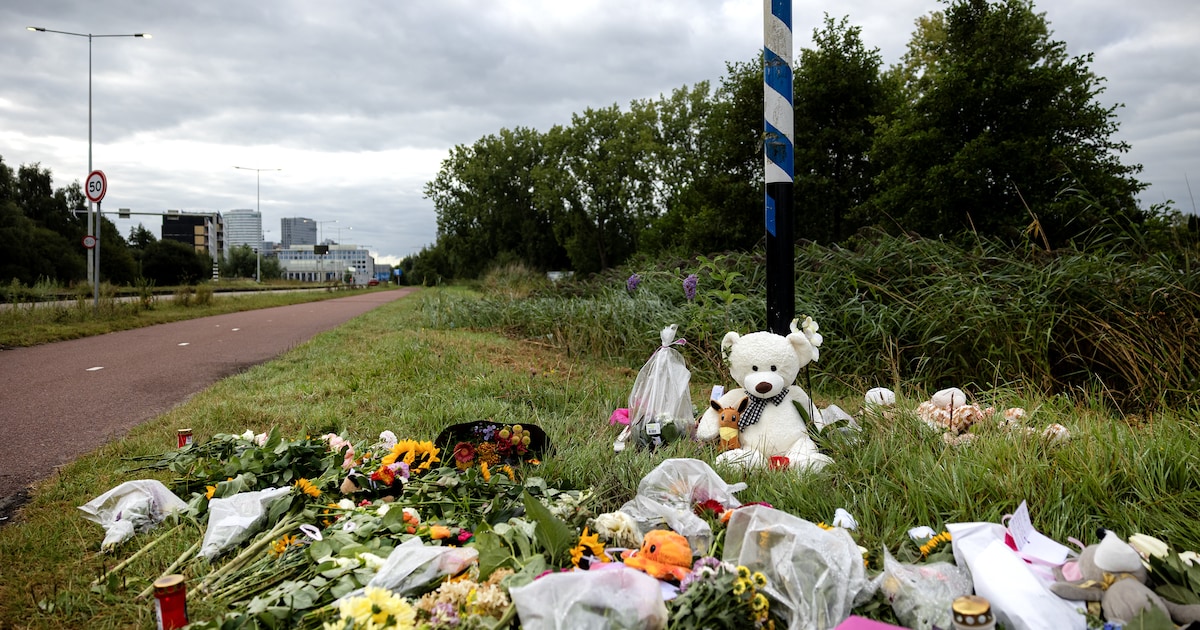 Chris Jude bekent moord op Lisa (17) en zedenmisdrijven, verklaringen over zijn jeugd blijken onjuis