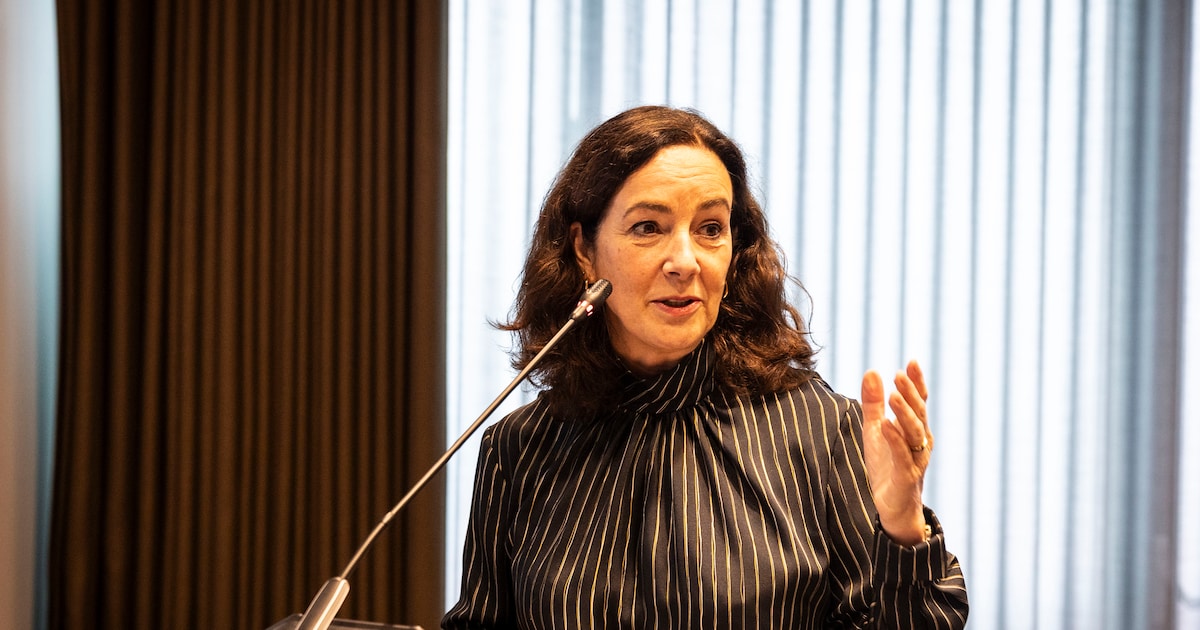 Halsema feliciteert Diemen met 800e verjaardag: ‘Baas boven baas’