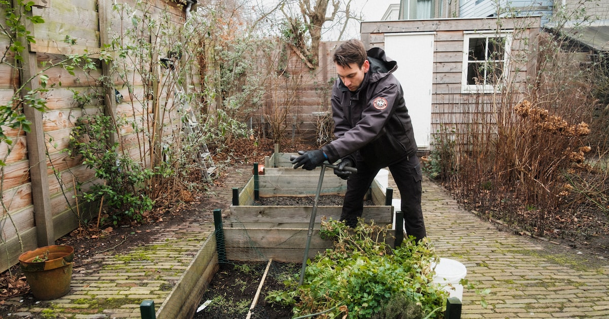 Veel Amsterdamse tuinen bevatten te veel lood: ‘Bewoners schrokken wel: ze hebben een moestuin’