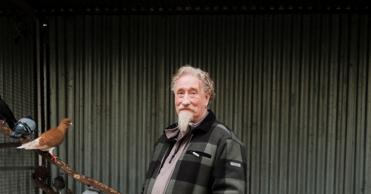 De opvang van Gerrit Zant (75) in de Bijlmer lapt jaarlijks meer dan 7000 dieren op: ‘Ik ga nooit op