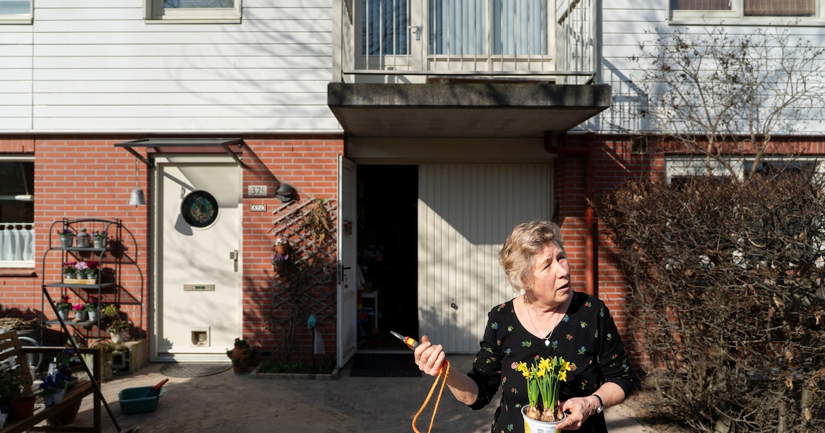 Vedettes in de Vlinderbuurt: in deze wijk in Diemen woonden Zlatan, Søren, Jari en vele andere Ajaci