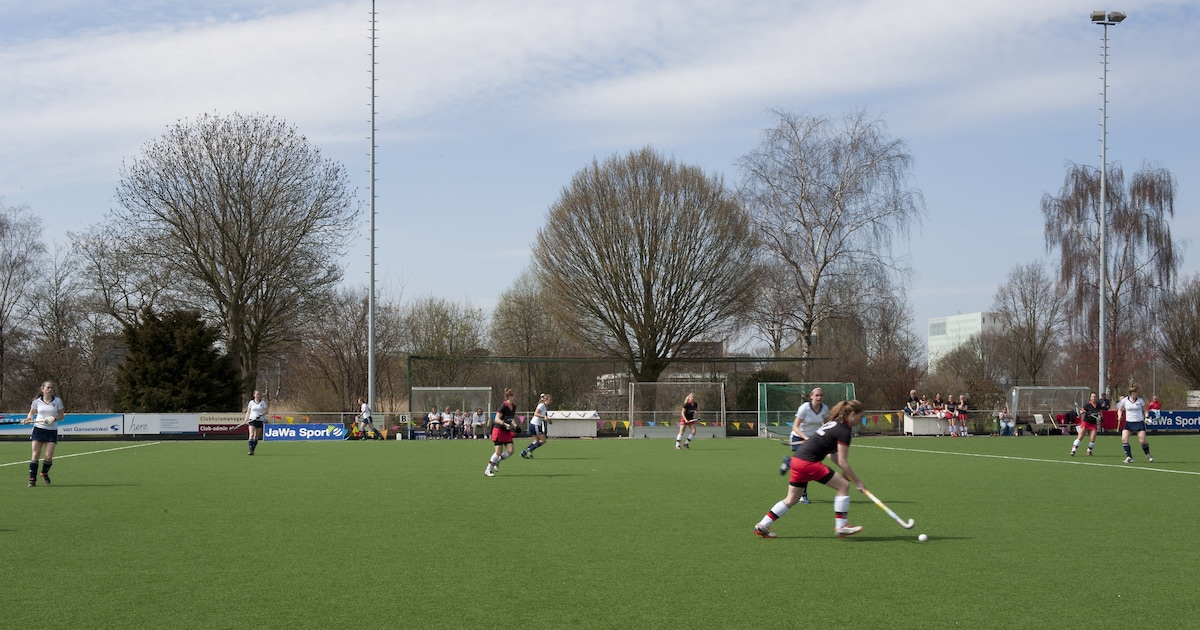 Hockeyclubs VVV en HIC bundelen de krachten en worden samen één hockeyclub: ‘We nemen de vlucht naar