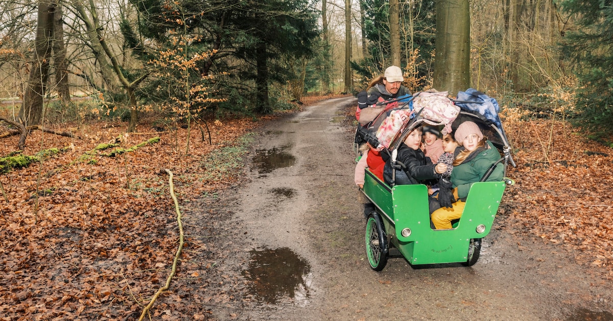 Mee met ‘manny’ Daan (36) en zijn buitenschoolse bosclub: ‘Haal ze weg bij een iPad, stadskinderen m