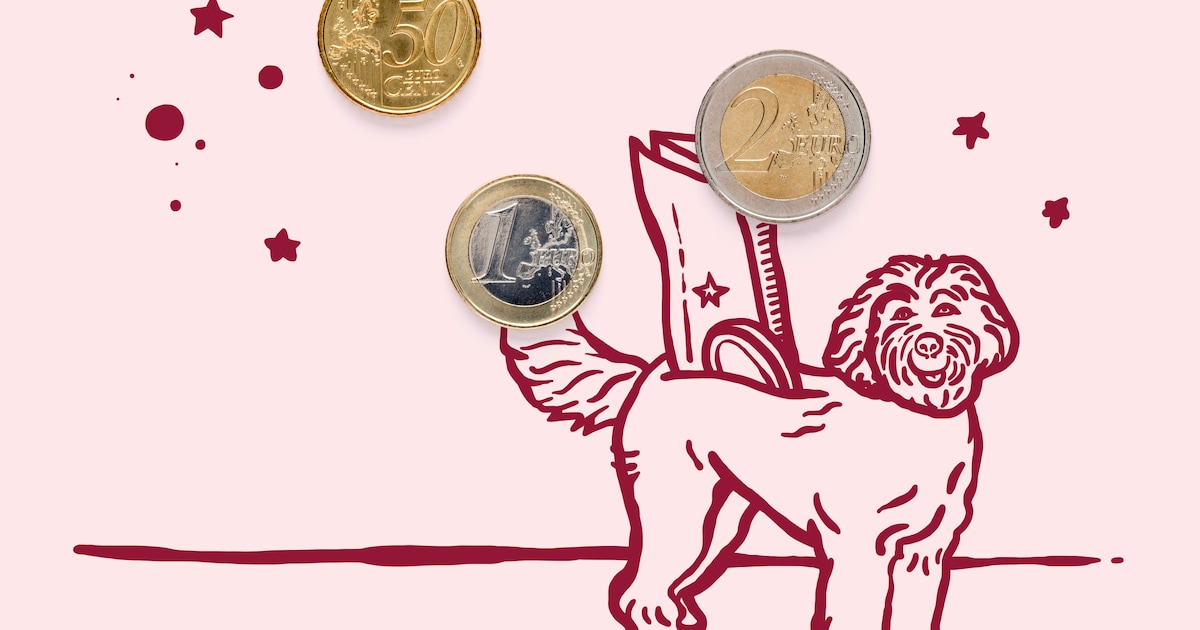 Kun je meten hoeveel een hond of kat in geluk waard is? Ja, zeggen onderzoekers: 81.000 euro