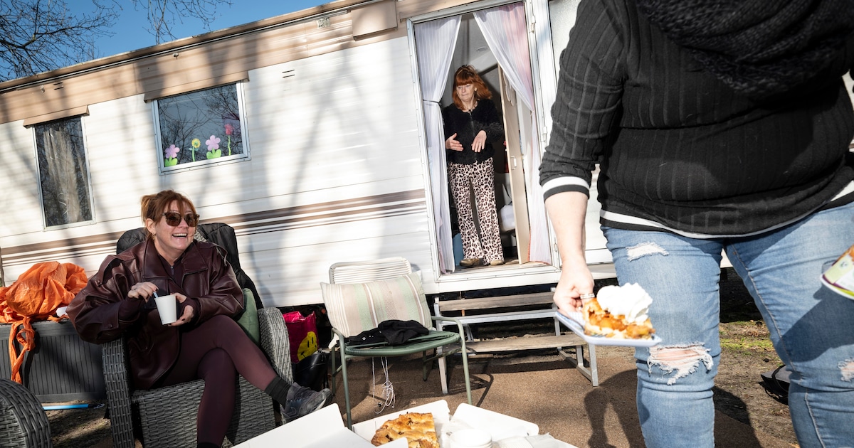 Camping Bakkum opent weer na winterslaap: ‘Vanuit je stoel naar de vogeltjes luisteren, kom daar een