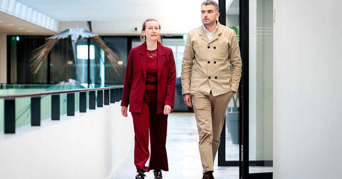 VVD, Partij voor de Dieren en Denk teleurgesteld over keuze Pro voor D66: ‘Niet schaamteloos links’