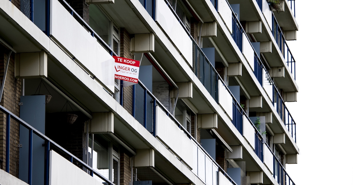 Opinie: ‘Het is tijd om sociale huurwoningen terug te kopen, zodat ze gebruikt worden waarvoor ze oo