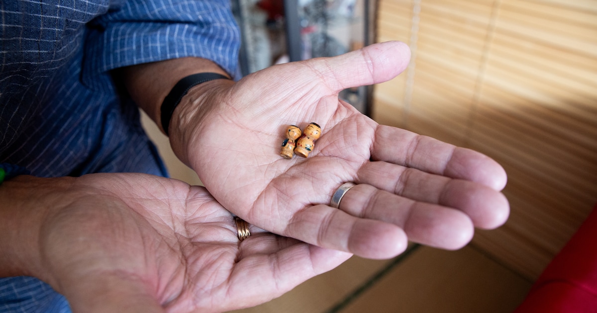 De tweekamerwoning van Milan (68) in Amsterdam-Zuid is volledig Japans ingericht: ‘De deur liet ik v
