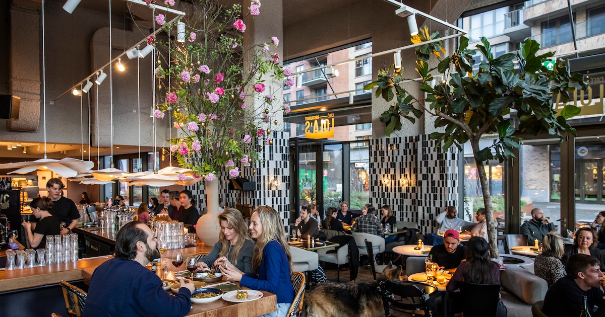 Lola’s in Diemen is a fine establishment with a great staff – pity about the food (5,5)