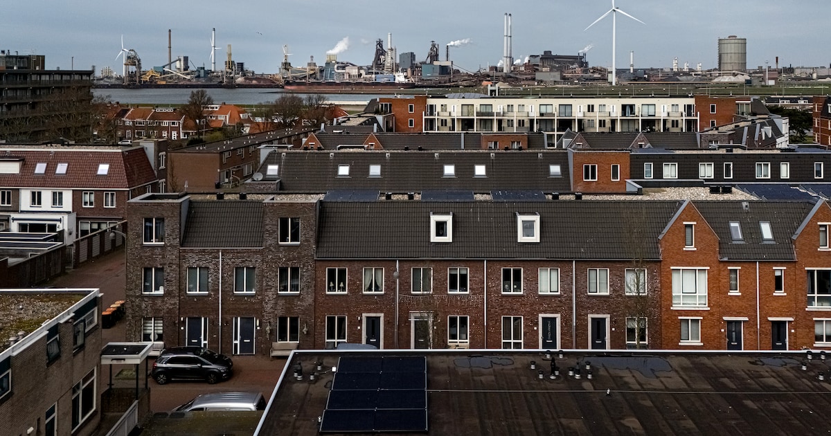 Voor Tata, tegen vluchtelingen: hoe FvD zo groot kon worden in Velsen. ‘De mensen hier hebben staal 