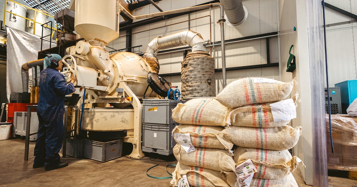Amsterdamse chocoladefabriek gaat ook plantaardige chocola maken: ‘Bij ons gaat er meer cacao in’