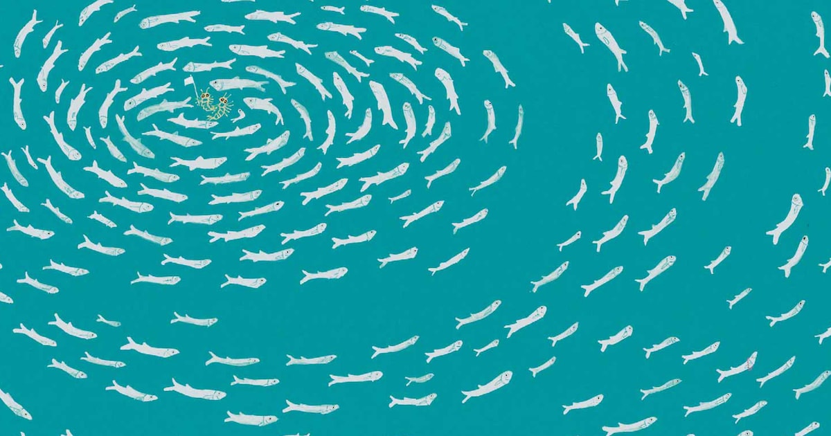 Recensie: Bibi Dumon Tak richt haar pijlen op menselijke inhaligheid die ten koste van dieren gaan