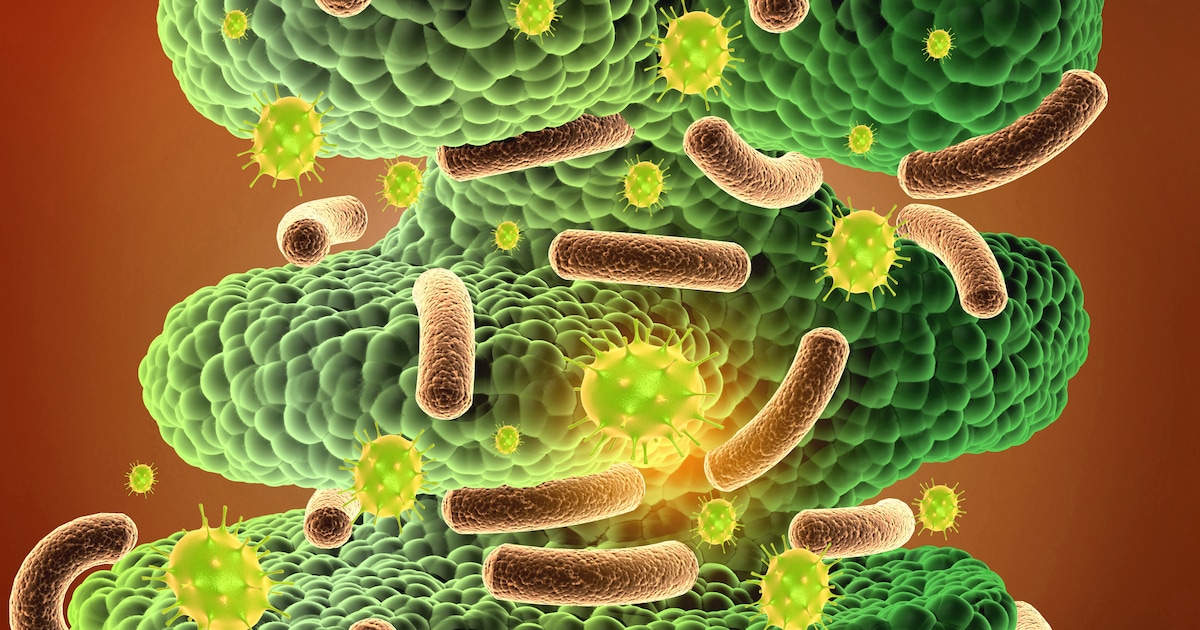 Navo-fonds investeert miljoenen in Amsterdams biotechbedrijf dat methode voor infectiebestrijding on