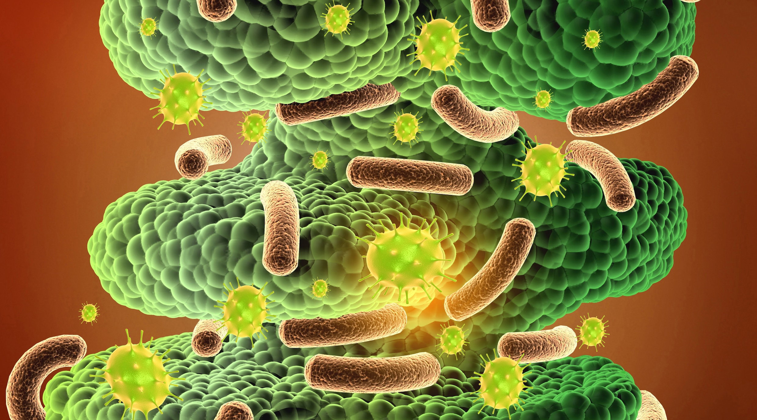Inbiome ontwikkelde een methode om veel sneller te achterhalen door welke bacterie een infectie is veroorzaakt.