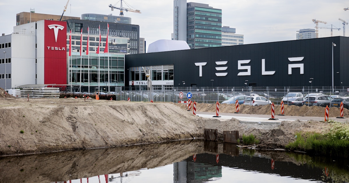 Tesla Amsterdam teruggefloten: ‘Piemels uit de broek!’ tijdens werkborrel geen reden voor ontslag