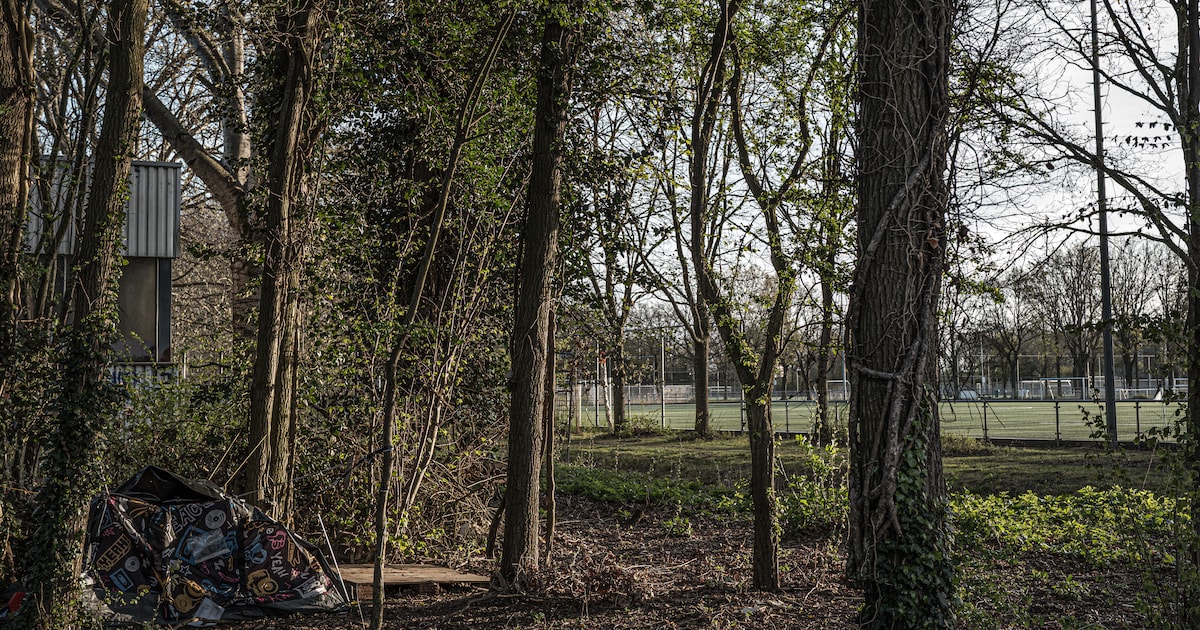 Daklozen en verslaafden geven leden voetbalclub SDZ onveilig gevoel: ‘Onlangs vonden we een heroïnes